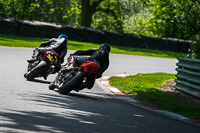 cadwell-no-limits-trackday;cadwell-park;cadwell-park-photographs;cadwell-trackday-photographs;enduro-digital-images;event-digital-images;eventdigitalimages;no-limits-trackdays;peter-wileman-photography;racing-digital-images;trackday-digital-images;trackday-photos